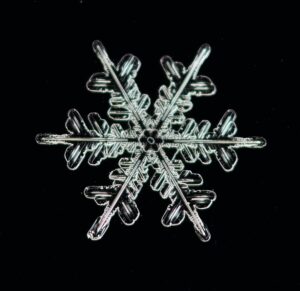 flocon de neige