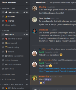 chat j ecris un roman