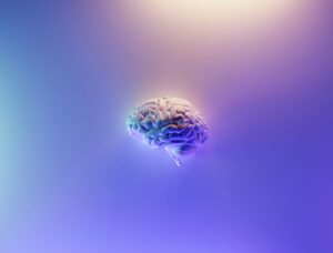 milad fakurian 58Z17lnVS4U unsplash 1 scaled