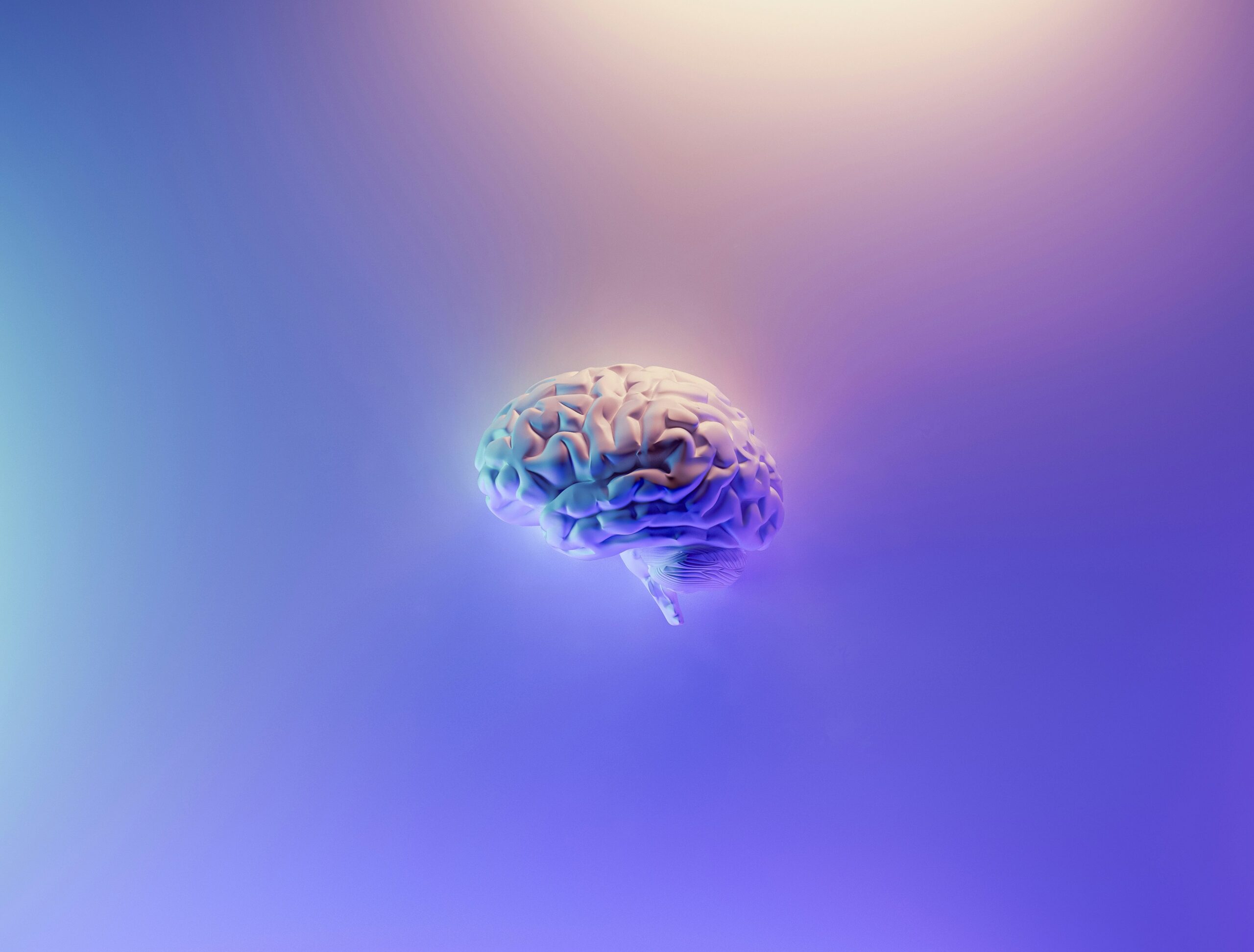 milad fakurian 58Z17lnVS4U unsplash 1 scaled